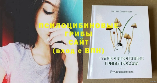 2c-b Медвежьегорск