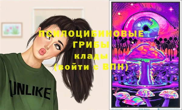 2c-b Медвежьегорск