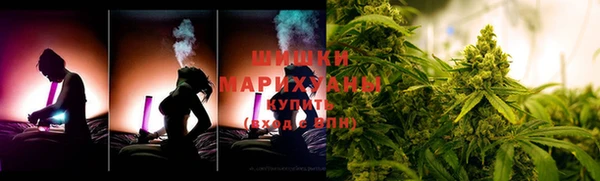 ПСИЛОЦИБИНОВЫЕ ГРИБЫ Алагир