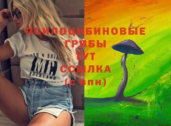 дурь Медногорск