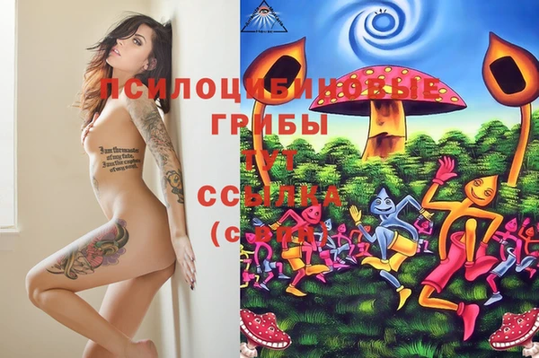 2c-b Михайловка