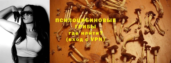 тгк Михайловск